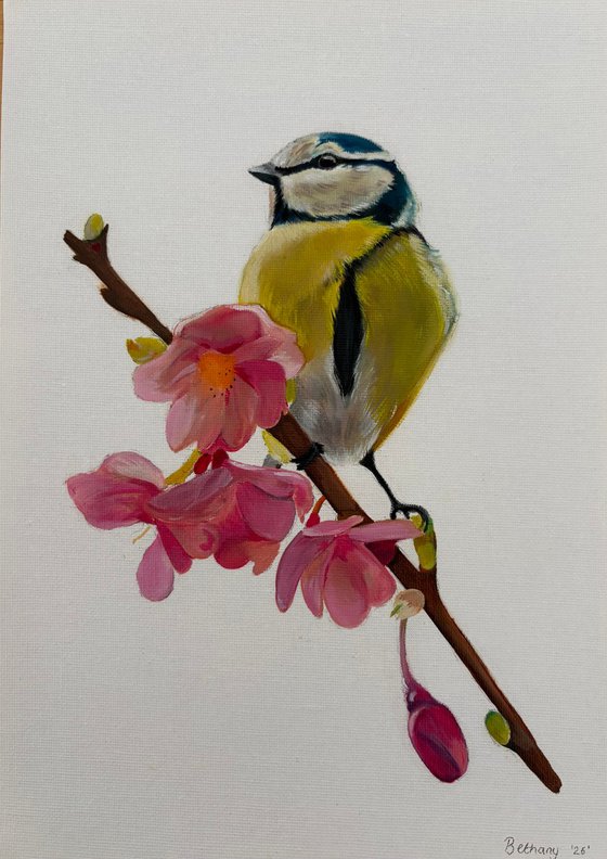 Blue tit oil painting