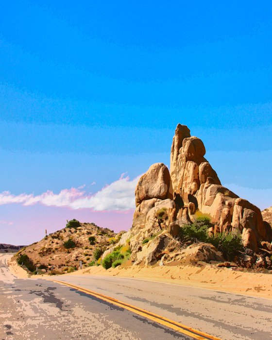 SEEING DOUBLE YELLOW Joshua Tree National Park CA