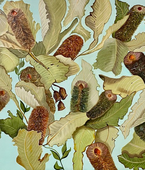 Banksia Robus by Wendy Peters