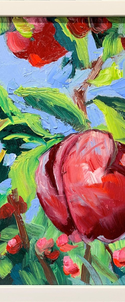 Apple garden. by Vita Schagen