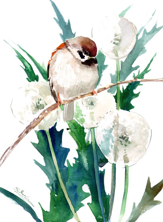 Sparrow Bird  and Dandelions