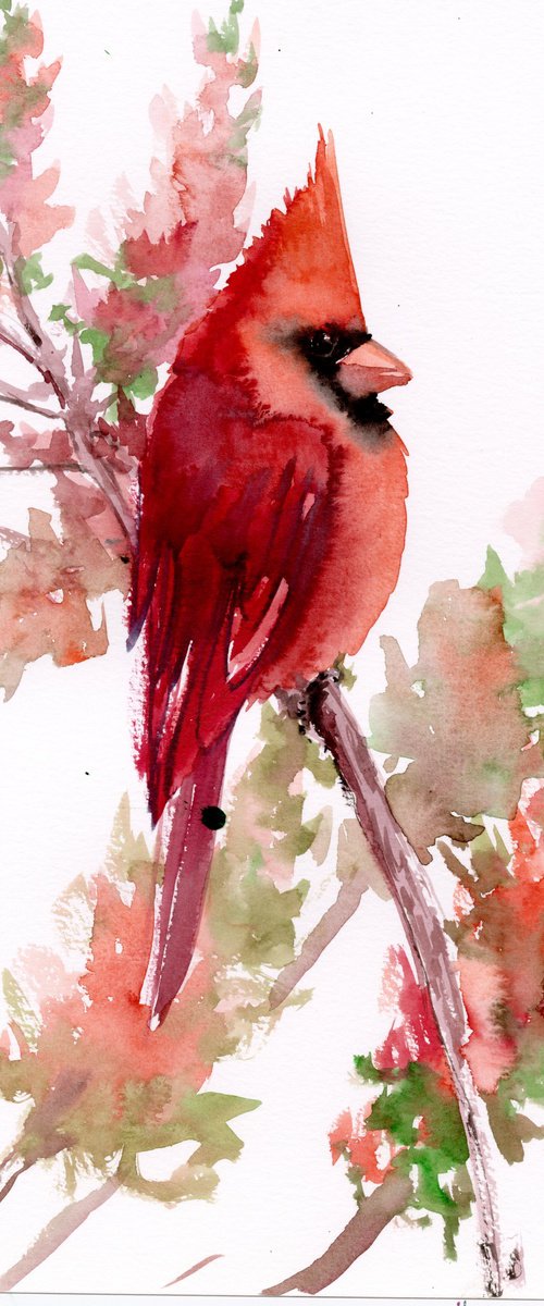 Red Cardinal Bird by Suren Nersisyan