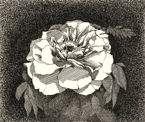 WHITE FLOWER by Nives Palmić