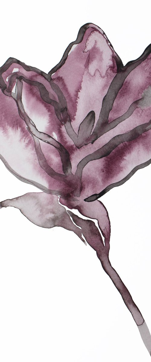 Magnolia No. 65 by Elizabeth Becker