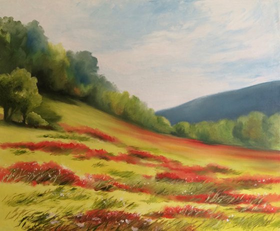 Poppy field