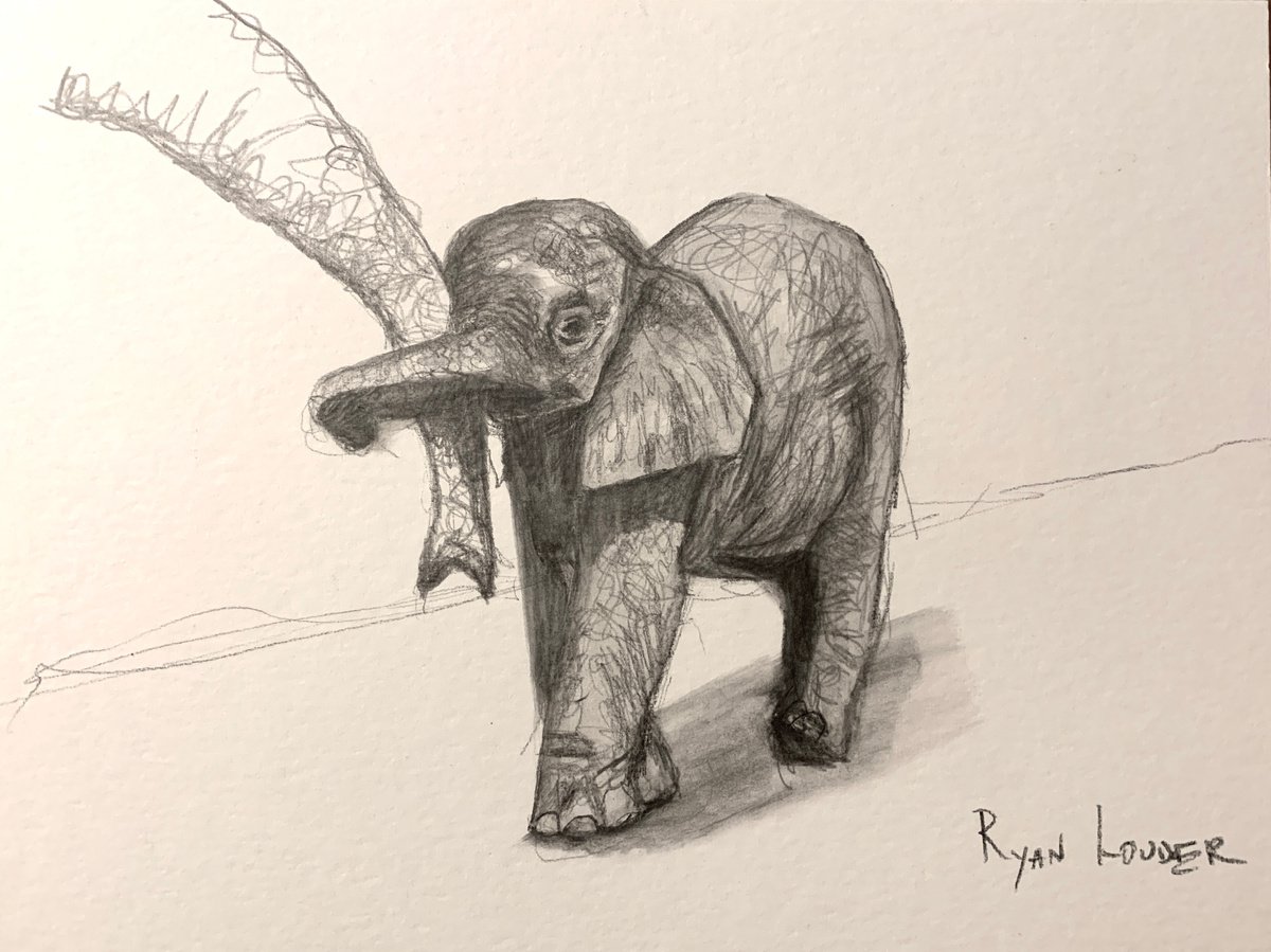 Baby Elephant by Ryan Louder