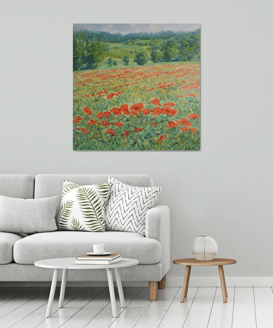 Poppy fields in Tuscany