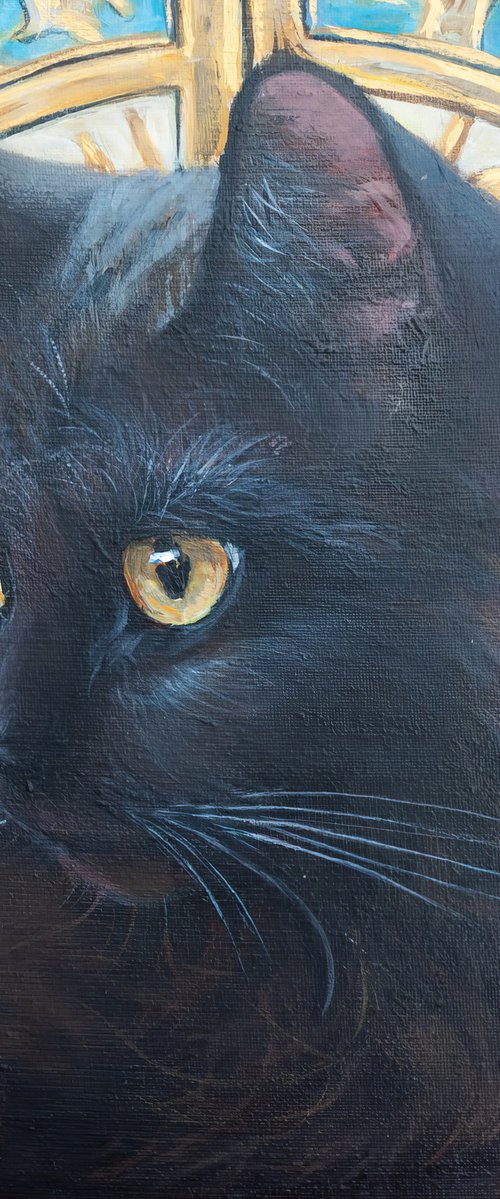 Feline Soul by Norma Beatriz Zaro