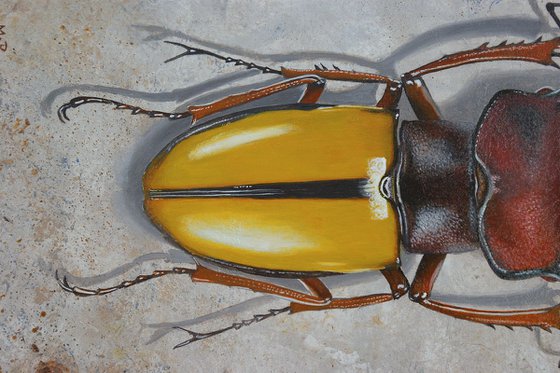 Lucanus Laetus