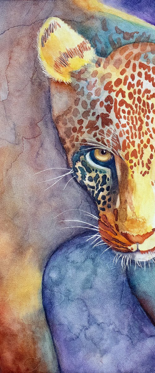 Night Moves by Catherine Twomey