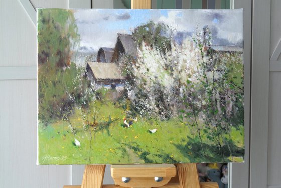 In the May Sun