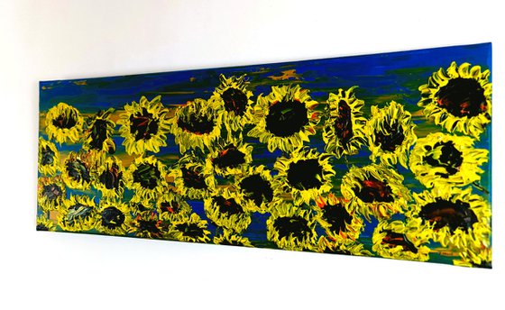 Blooming sunflowers 2