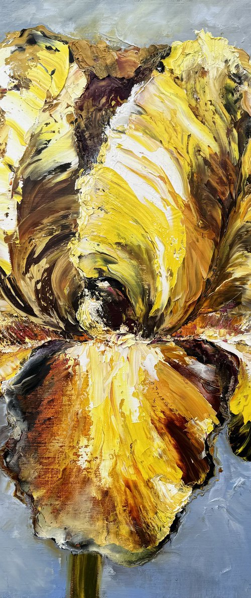 YELLOW IRIS by Oksana Petrova