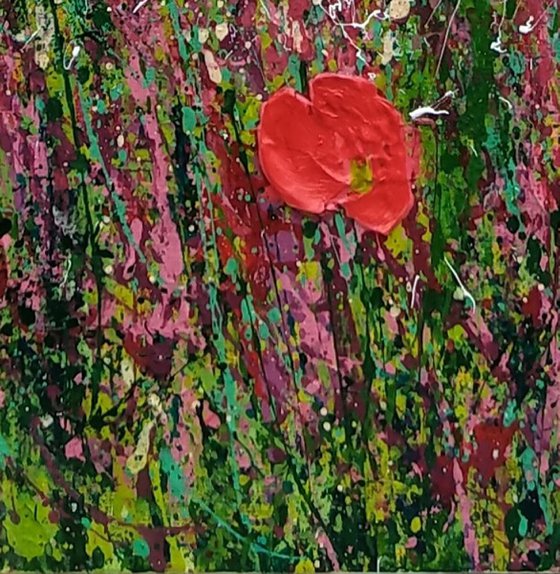 Petals Poppies and Wildflowers