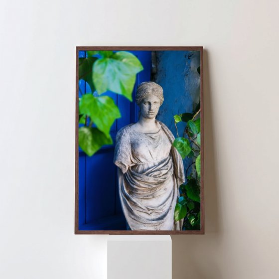 The Garden Muse
