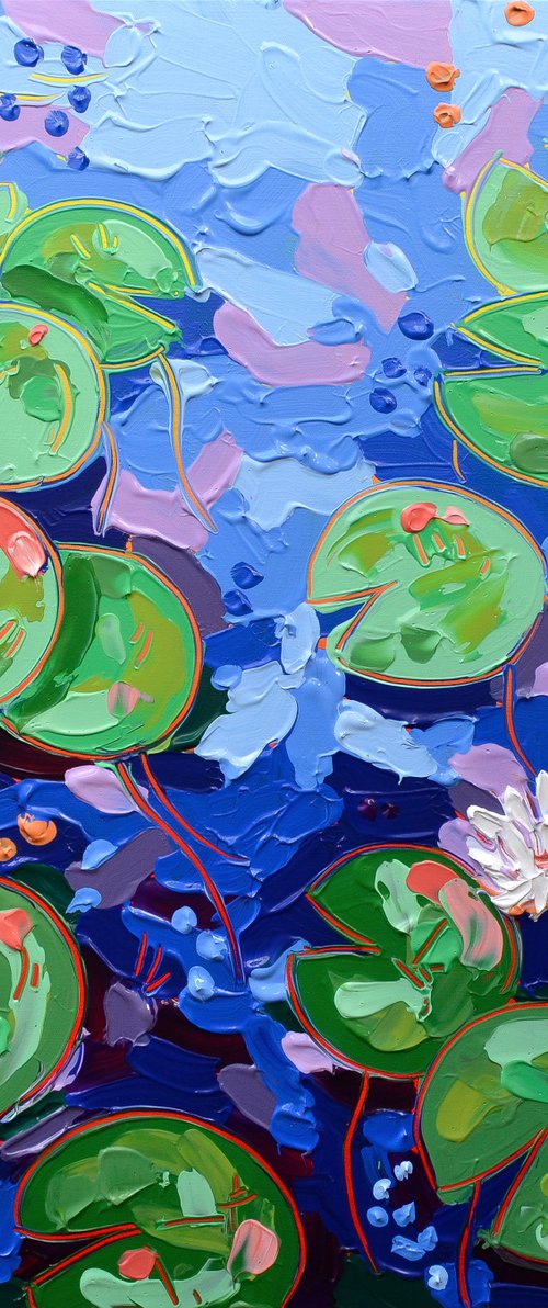 Tasman Lily Pond 34 by Joseph Villanueva
