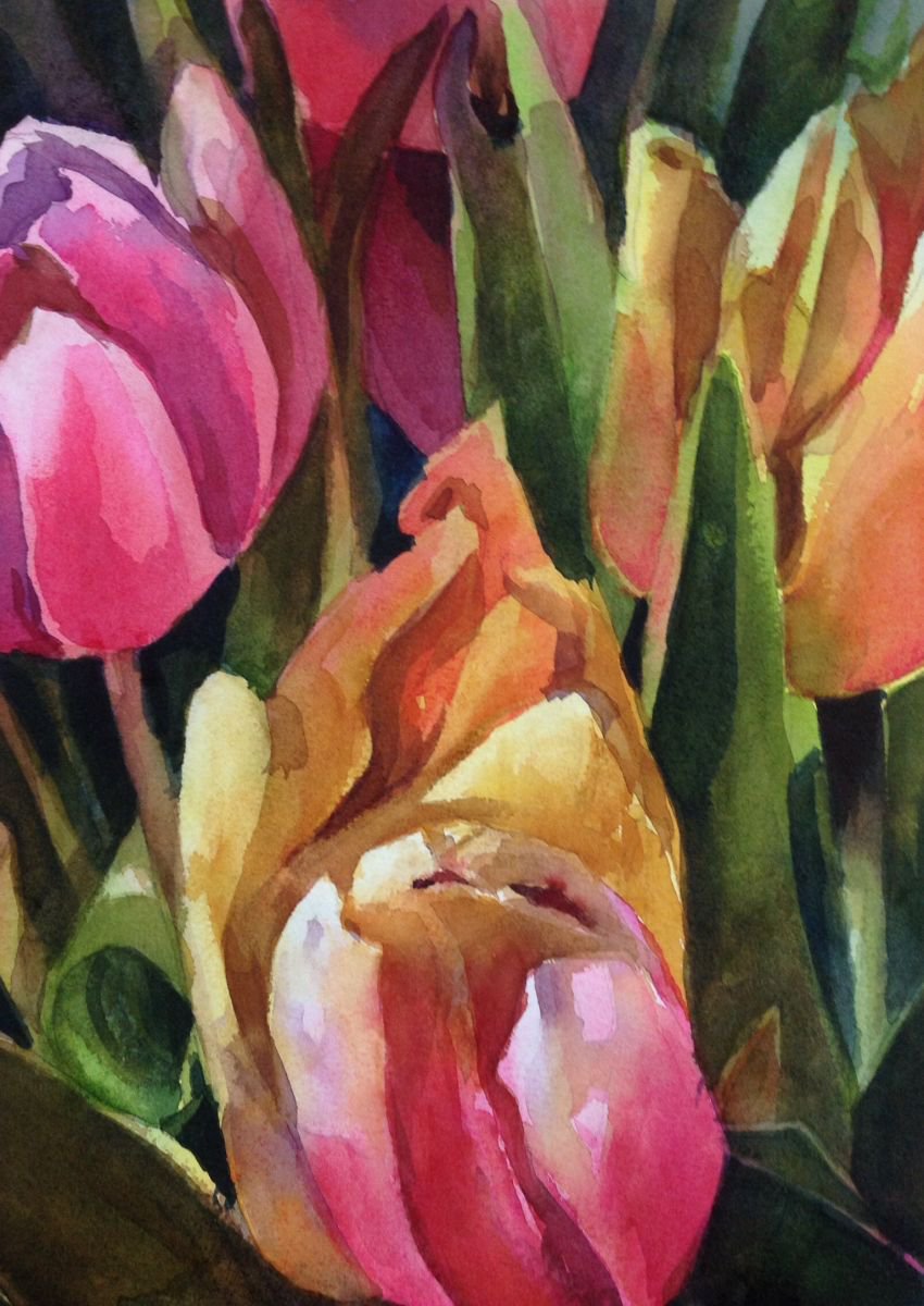 Tulips by Sri Rao