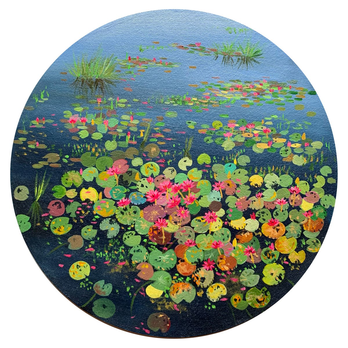 Serenity ! Cluster of water lilies by Amita Dand