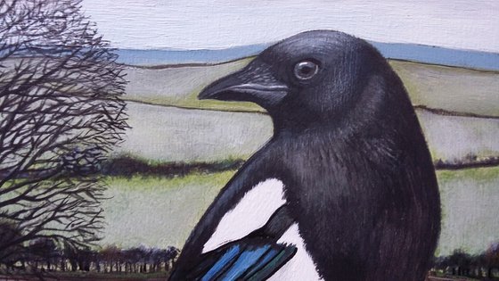 Waiting for spring (two magpies for joy)