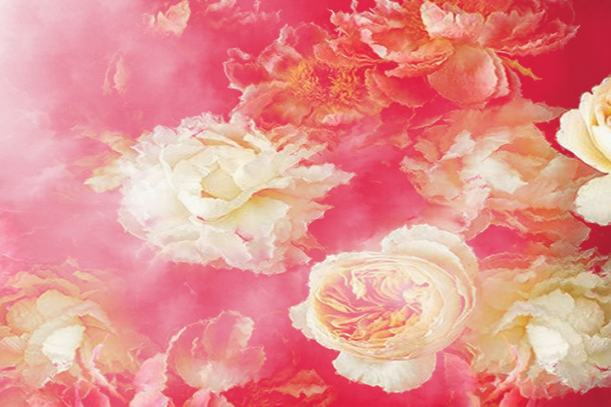 Illustrative Still Life Photograph By Srdjan Jevtic, 59 X 39", White Flowers In Red Wine-150 Cm X 100 Cm Extra Large, Artfinder