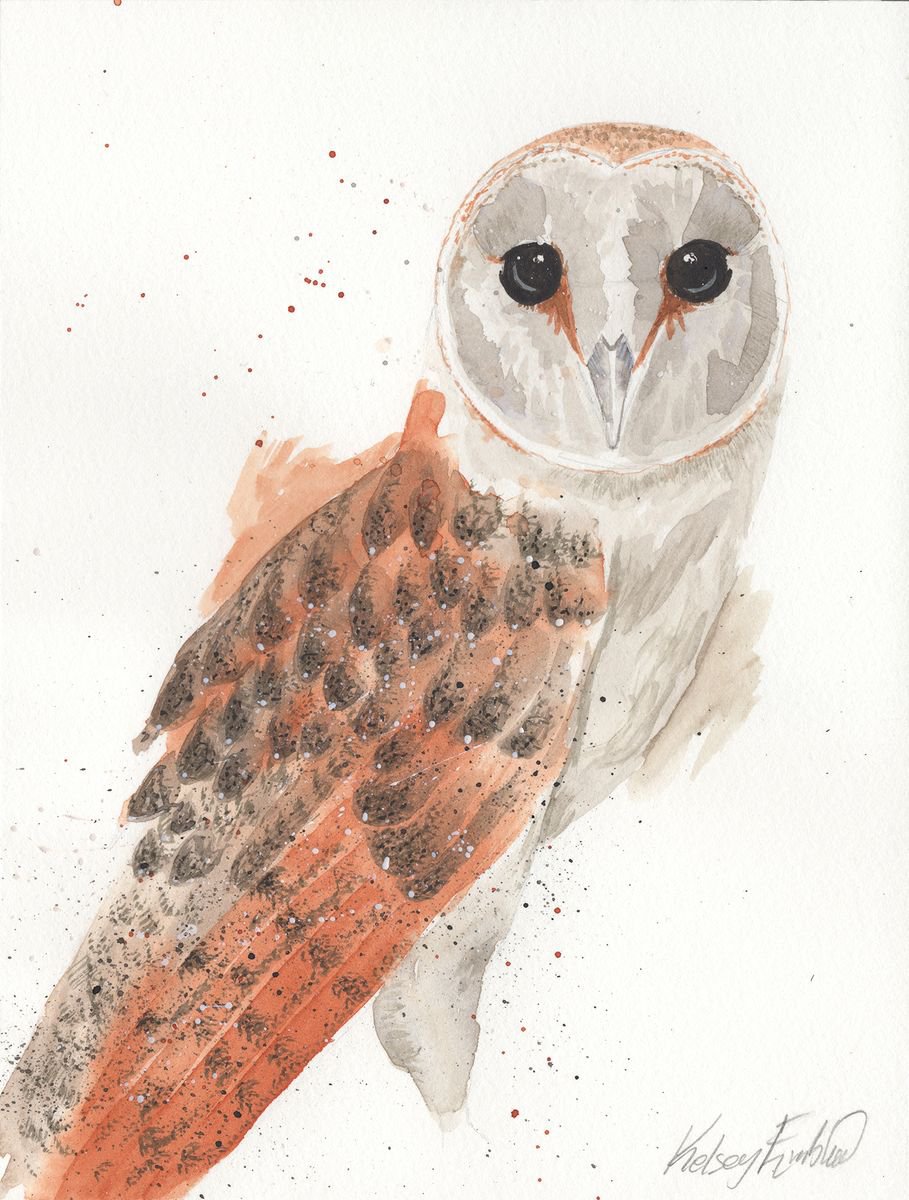 Barn Owl by Kelsey Emblow