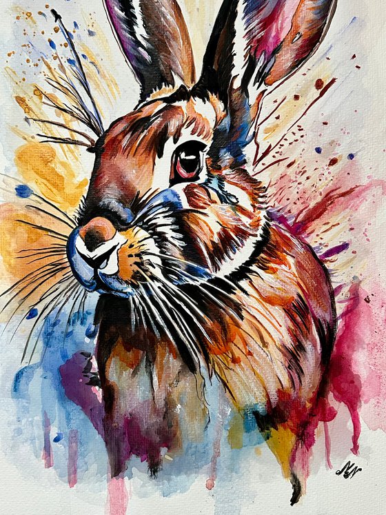 Colorful Rabbit