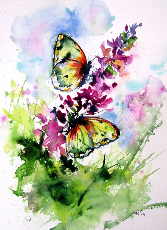 Butterfly collection