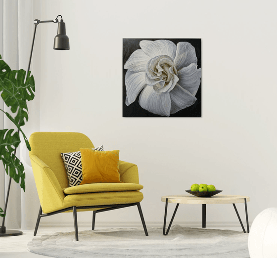 White Camellia Bloom