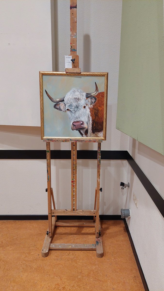Impressionistic Animal Oil Painting By Els Driesen, 20 X 20, Hereford Bull, Original Artwork