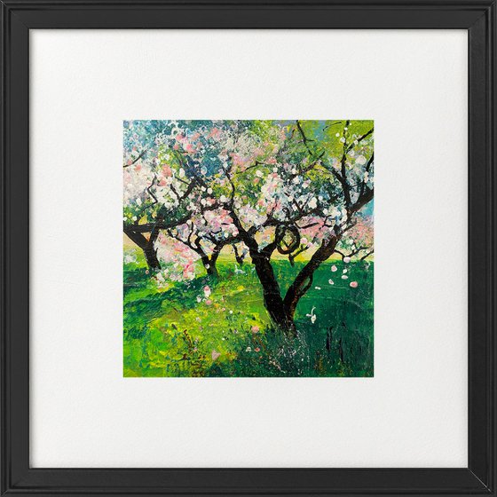 Orchard Series - First blossom