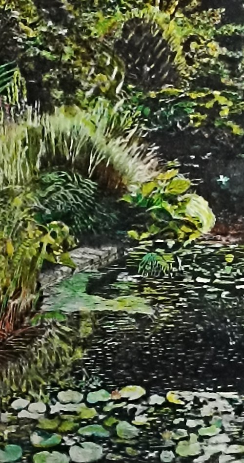 Pond and végétation by Isabelle Lucas