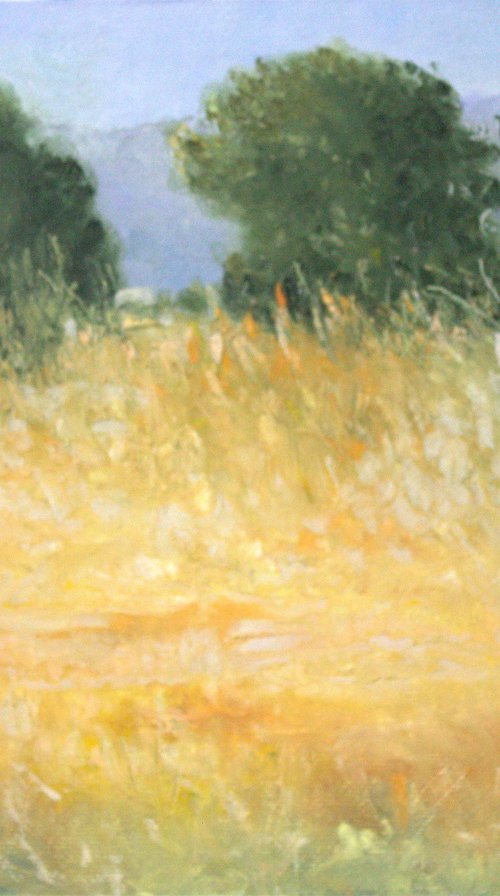 Paisaje del entorno de Moncofa by Vicent Penya-Roja