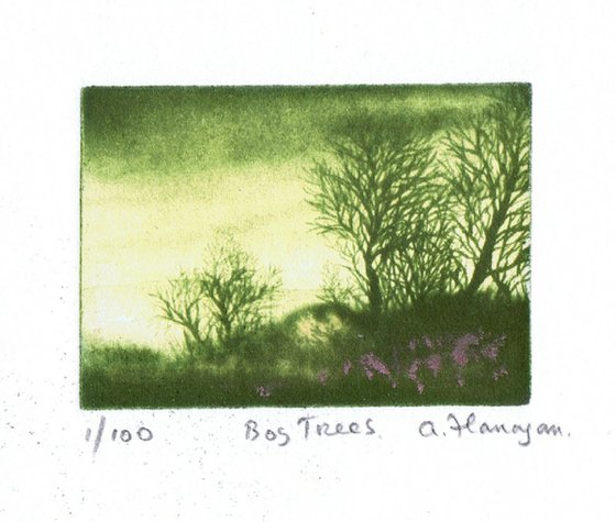 Bog Trees