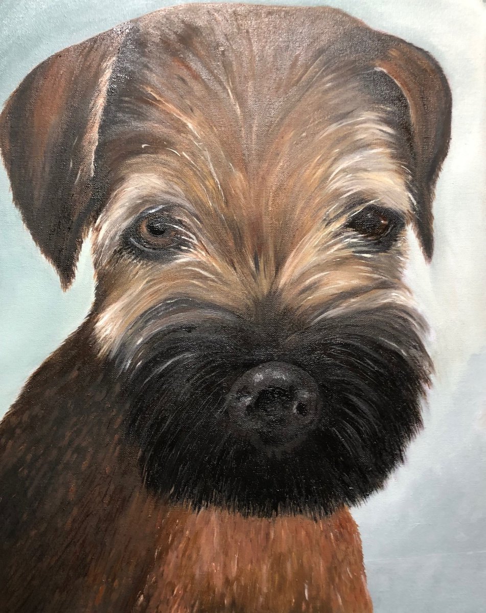 442 Border Terrier Puppy by Tateh