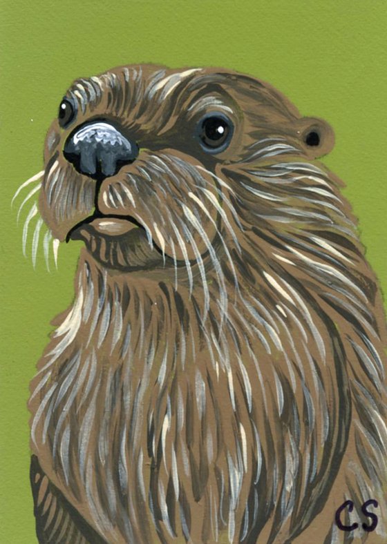 ACEO ATC Original Miniature Painting River Otter Wildlife Art-Carla Smale