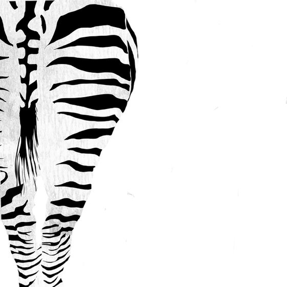 ZEBRA - MODERN WALL ART