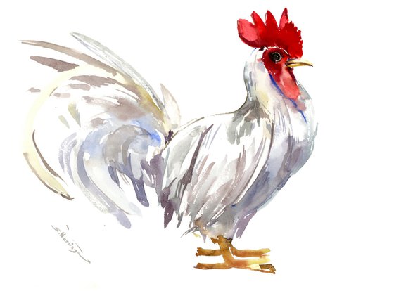 White Rooster