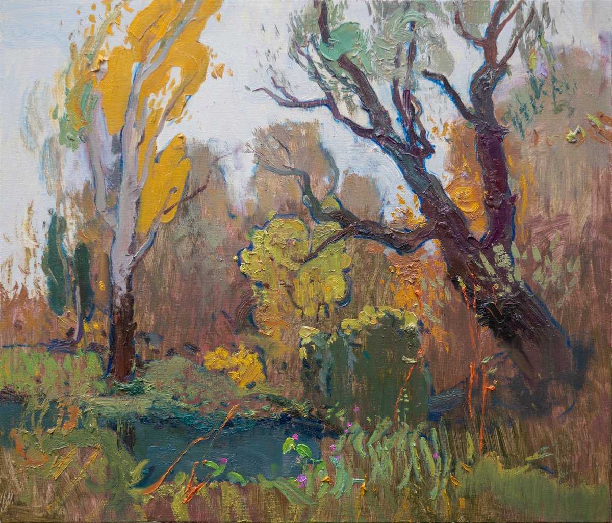 Impressionistic Landscape Oil Painting By Victor Onyshchenko, 28 X 24", Autumn Nature, Original Artwork