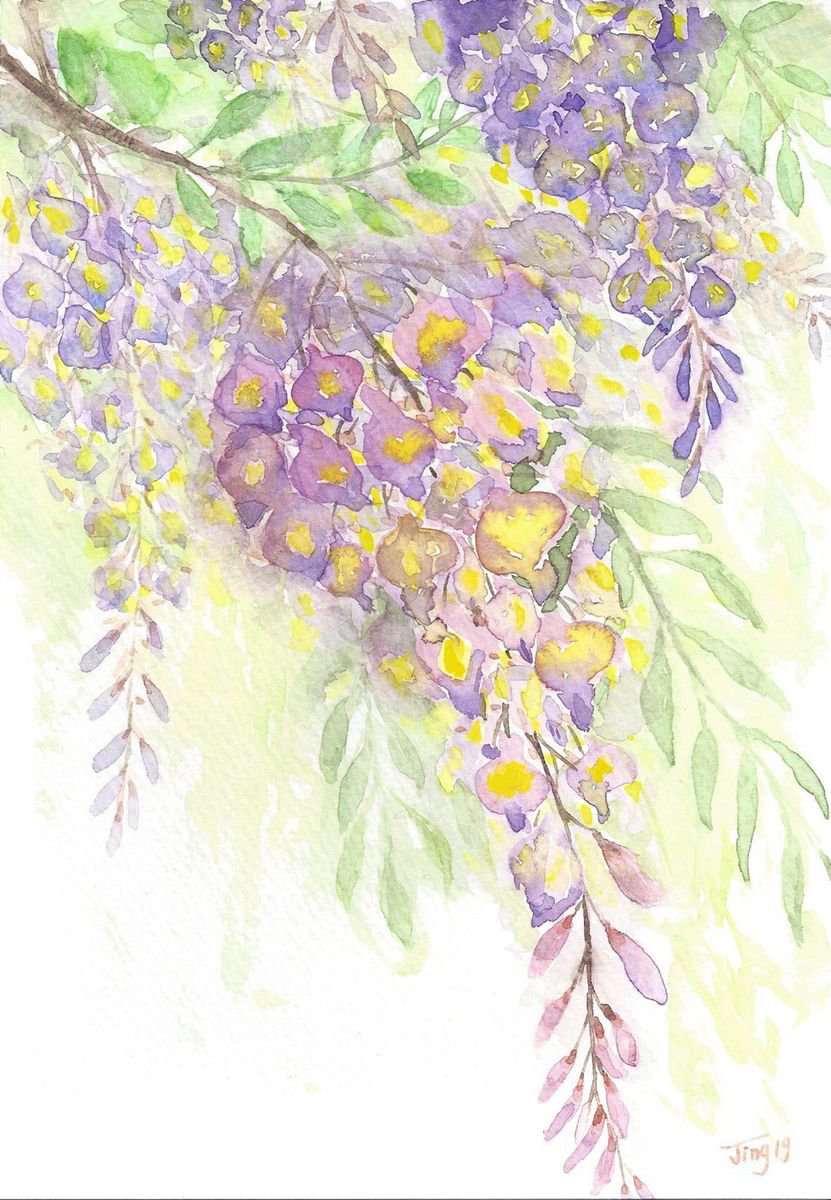 Wisteria by Jing Tian