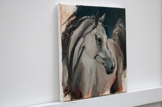 Equine Head Arab White (study 1)