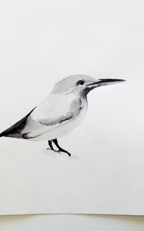 Birds by Nadia Moniatis