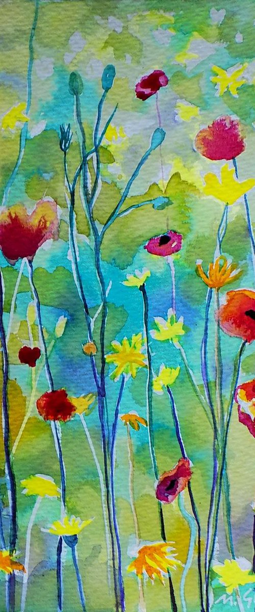 Poppy meadow on a sunny day by Maja Grecic