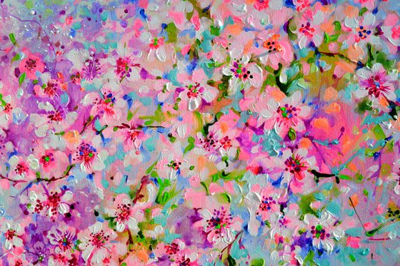 I've Dreamed 58 Sakura Cherry Tree Blossom