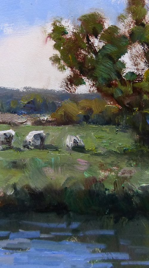 3 Cows by Pascal Giroud