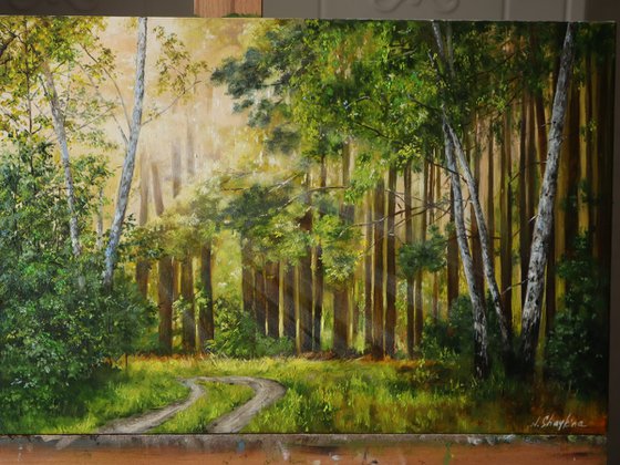 Sunlit Forest Path