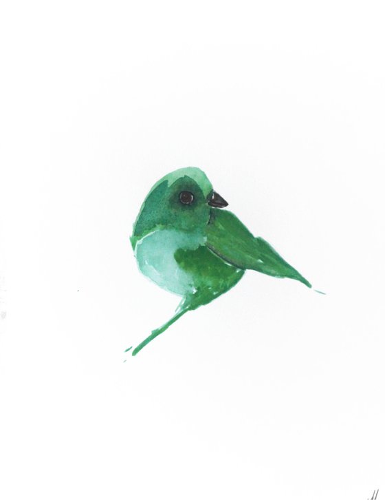 Bird