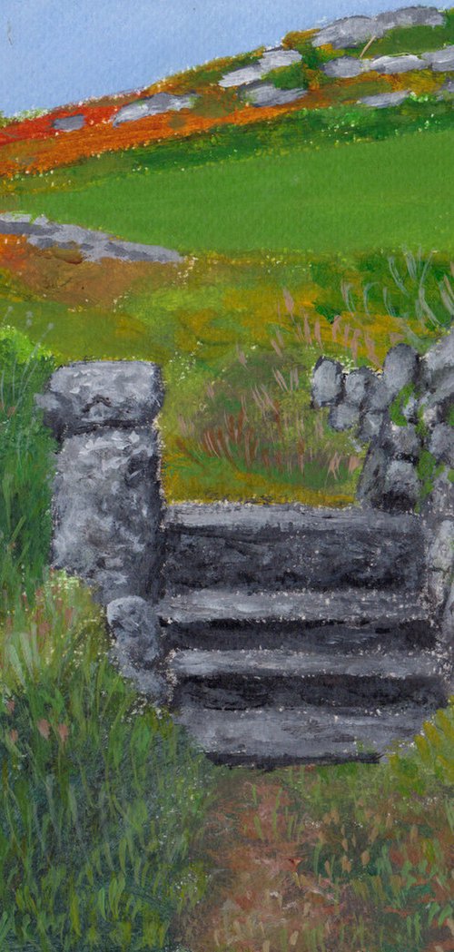 Tresco stile, Isles of Scilly by Tim Treagust