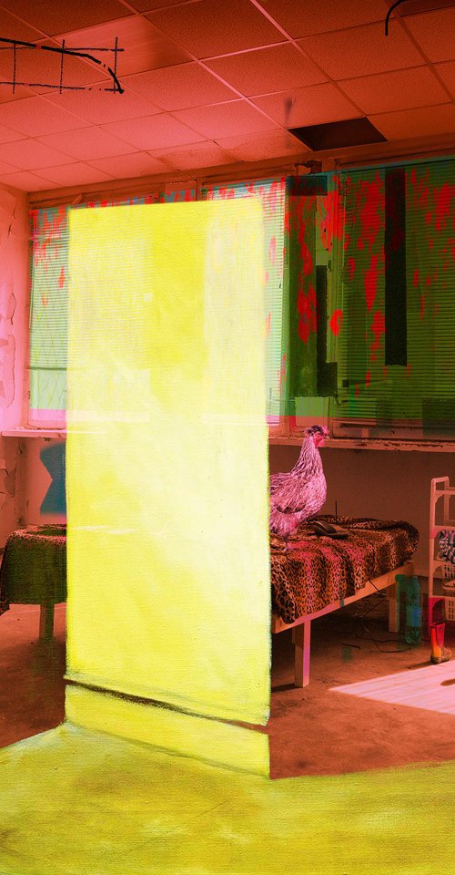 Interior with Chicken by Geert Lemmers FPA