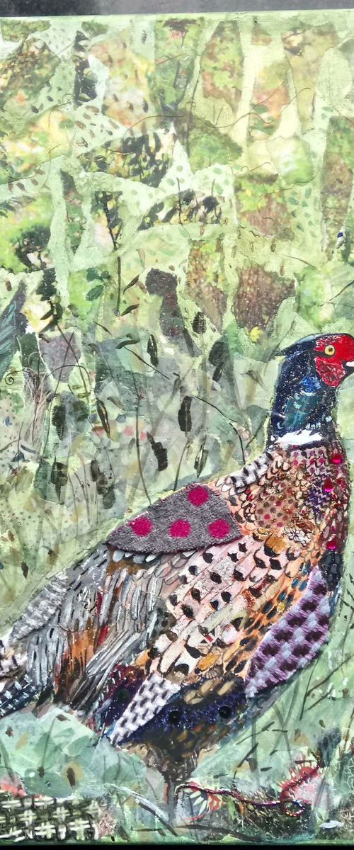 Pheasant in the woods by Fiona Plaisted