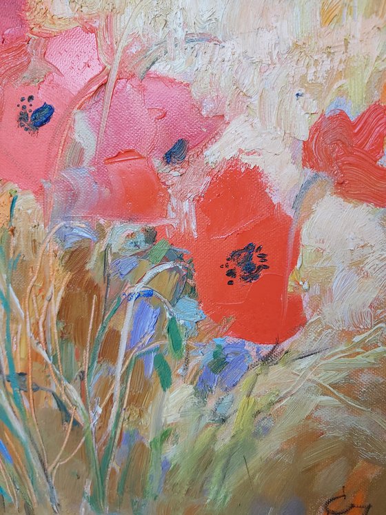 poppies